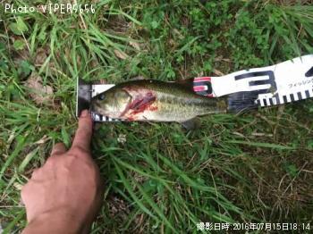 ¥Ö¥é¥Ã¥¯¥Ð¥¹