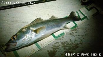 �����Х�