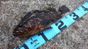 �����Υ���Х�