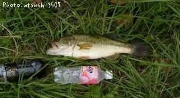 ¥Ö¥é¥Ã¥¯¥Ð¥¹