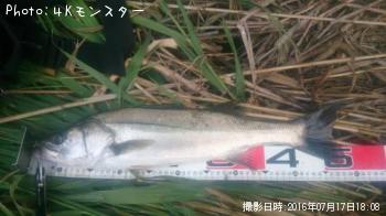 �����Х�