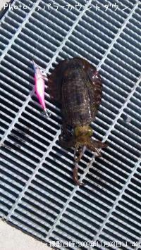 �����ꥤ��