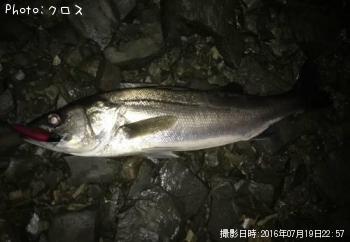 �����Х�