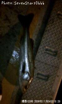 �����Х�