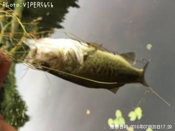 �֥�å��Х�