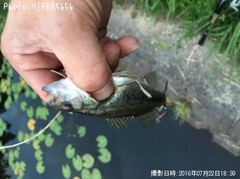 ¥Ö¥é¥Ã¥¯¥Ð¥¹