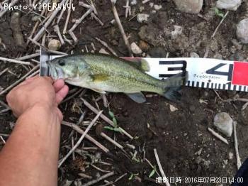 �֥�å��Х�