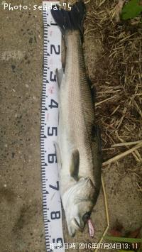 �����Х�