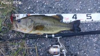 ¥Ö¥é¥Ã¥¯¥Ð¥¹