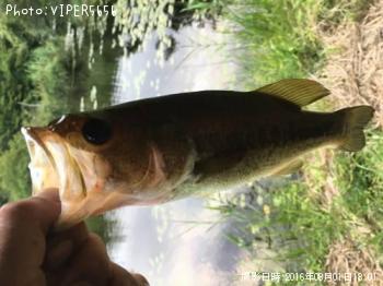 �֥�å��Х�