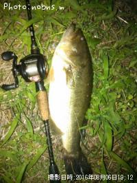 �֥�å��Х�