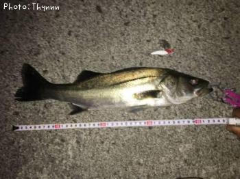 �����Х�