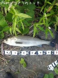 �����Х�