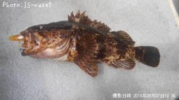 ¥¿¥±¥Î¥³¥á¥Ð¥ë