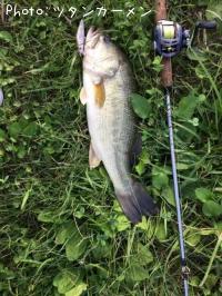 ¥Ö¥é¥Ã¥¯¥Ð¥¹