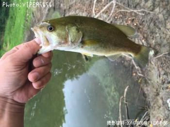 �֥�å��Х�