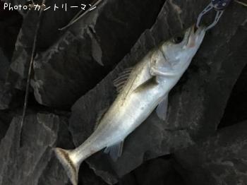 �����Х�