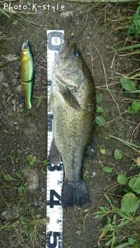 �֥�å��Х�