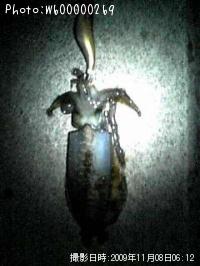 �����ꥤ��