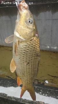 �֥�å��Х�����¾