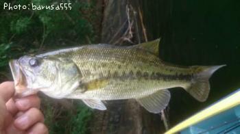 �֥�å��Х�