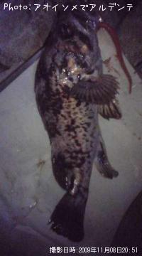 �٥å�������