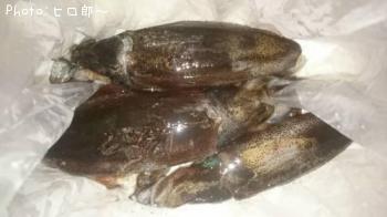 �����ꥤ��