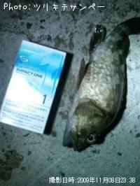 ¥¿¥±¥Î¥³¥á¥Ð¥ë