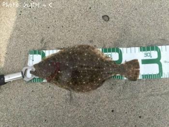 �ҥ��ʥ�����