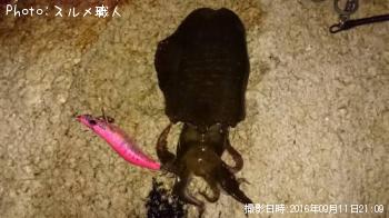 �����ꥤ��