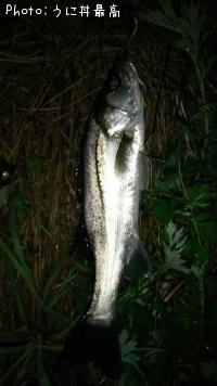 �����Х�