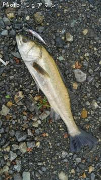 �����Х�