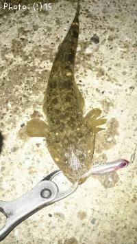 �ޥ����������Х�