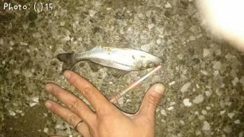 �ޥ����������Х�