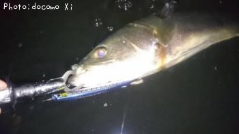 �����Х�