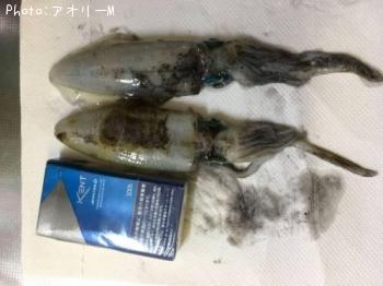 �����ꥤ��