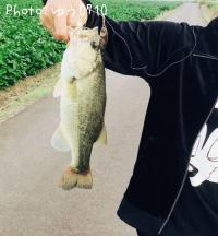 �֥�å��Х�