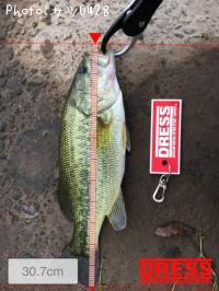 �֥�å��Х�