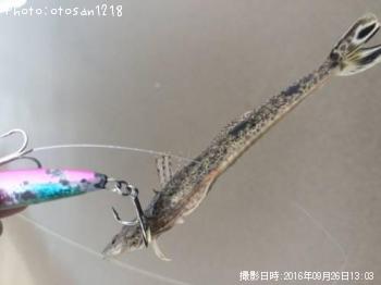 �ޥ������֤����