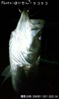 �����Х�