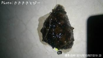 �᥸�ʡ������Х����ʥޥ�