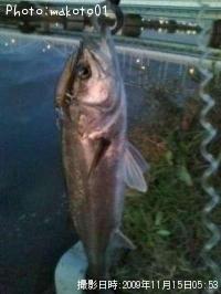 �����Х�