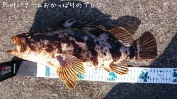 ¥¿¥±¥Î¥³¥á¥Ð¥ë