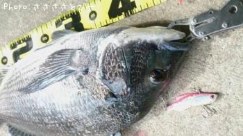 ���������������Х�