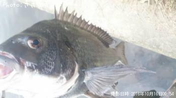 ���������������Х�