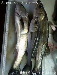 �����Х�