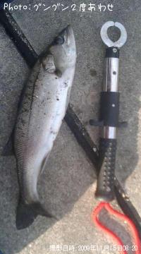 �����Х�