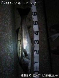 �����Х�