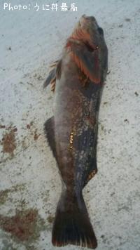 �����ʥ�