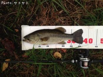 �֥�å��Х�